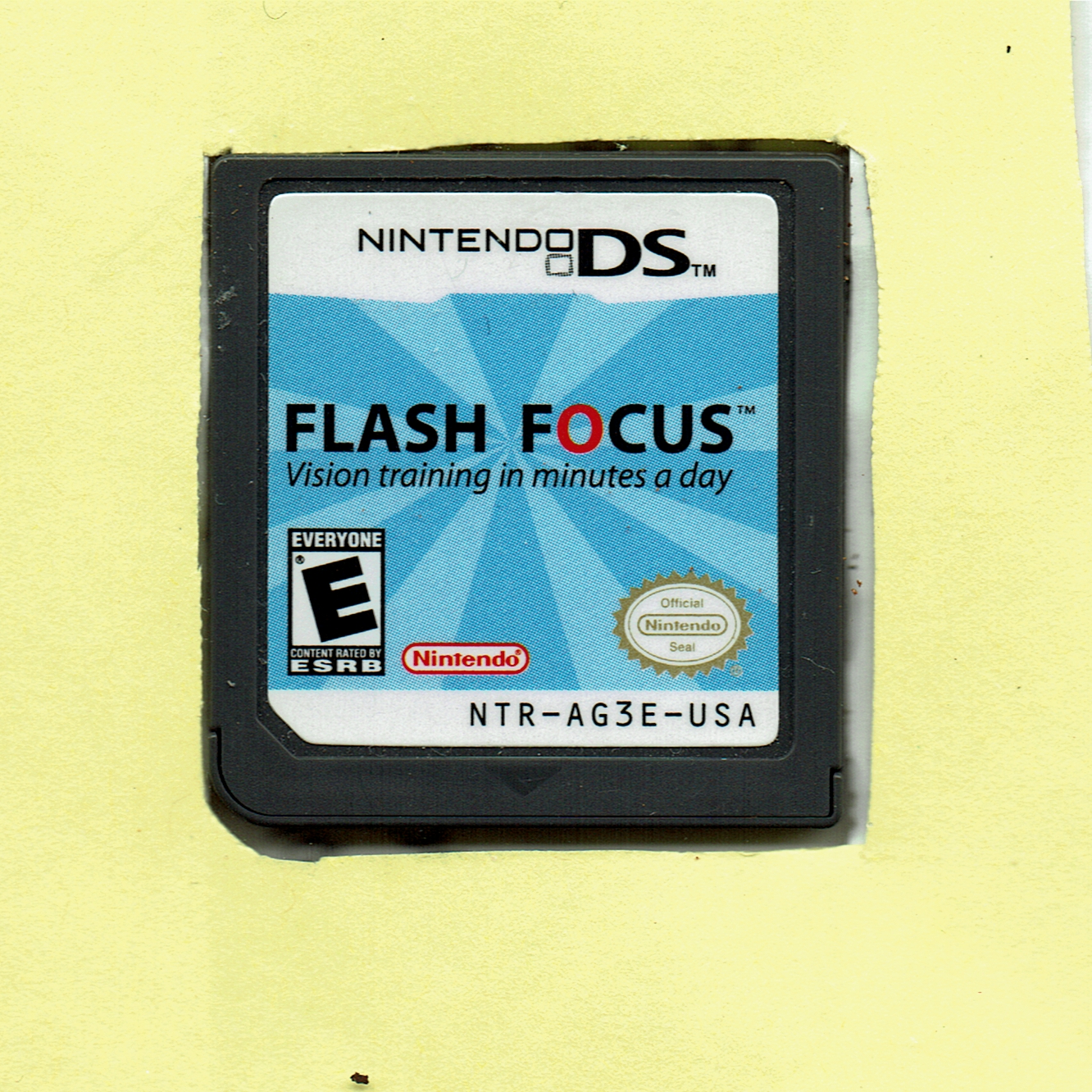 Flash Focus: Vision Training in Minutes a Day